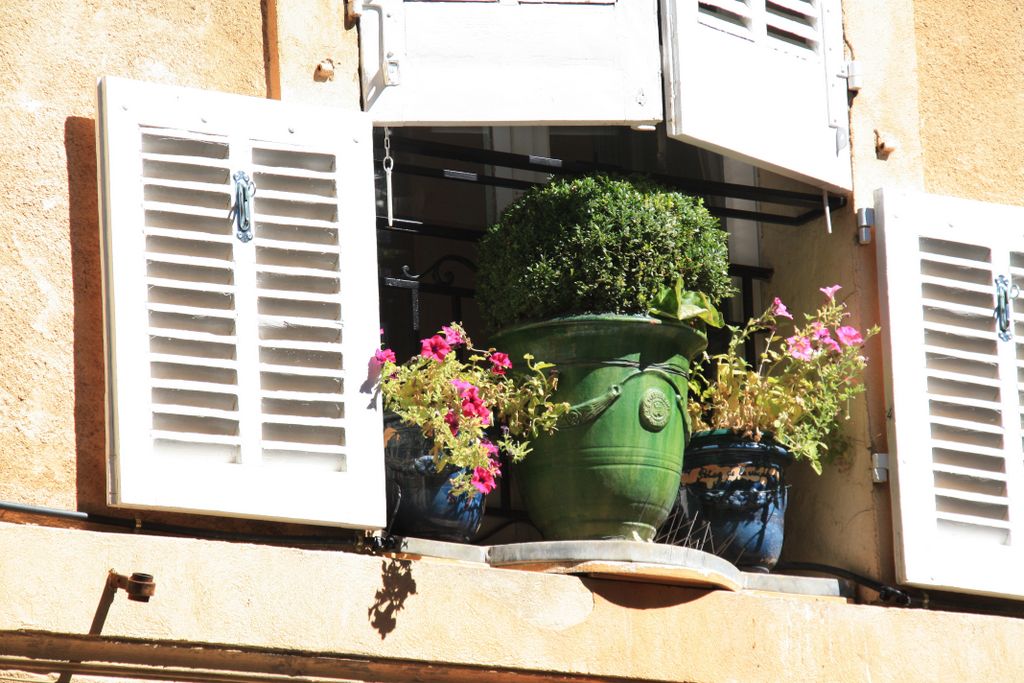 Aix-en-Provence, also a city of flowers...