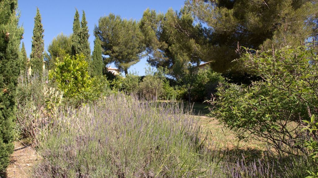 Vue Cézanne,  Aix en Provence