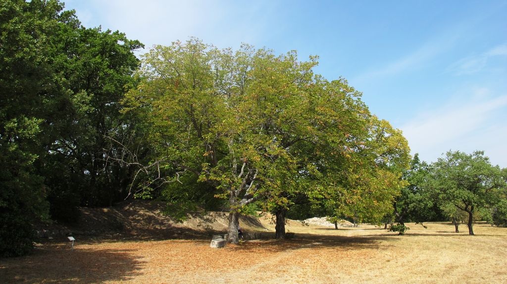 The Plateau of Entremont, just outside of Aix-en-Provence