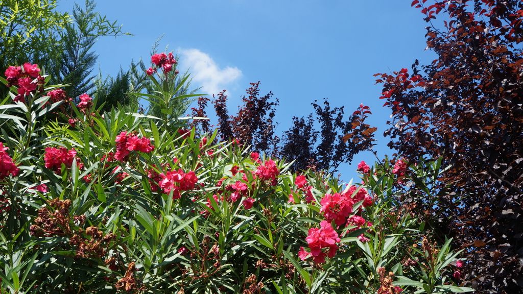 Colours in Aix-en-Provence...