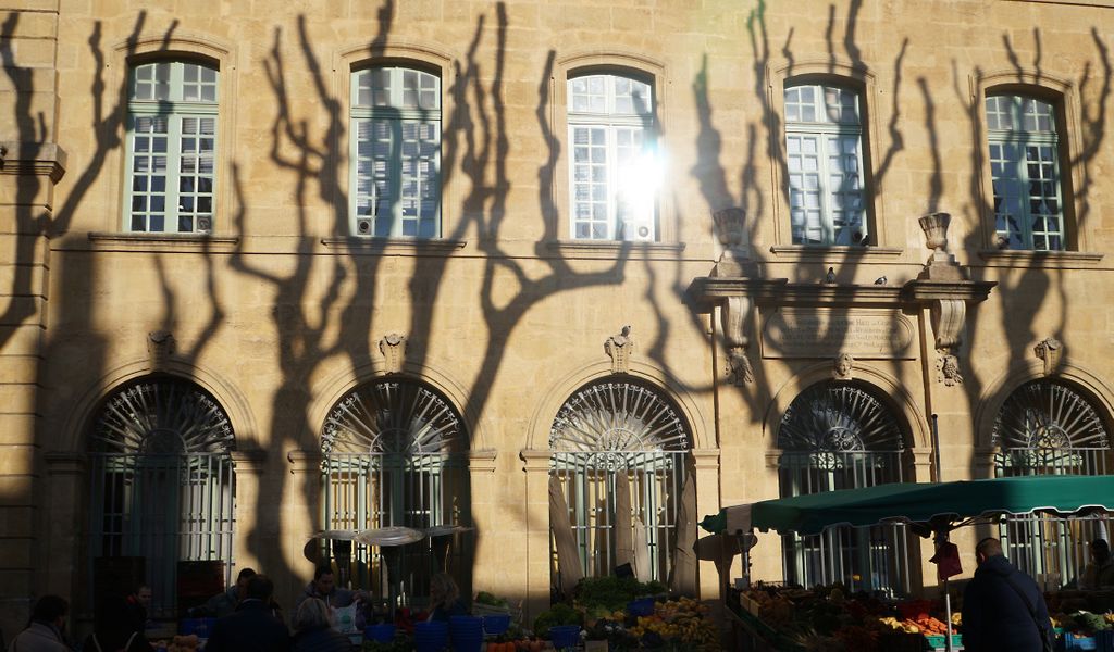 Shadows of the trees in winter on the facade of the ancient 