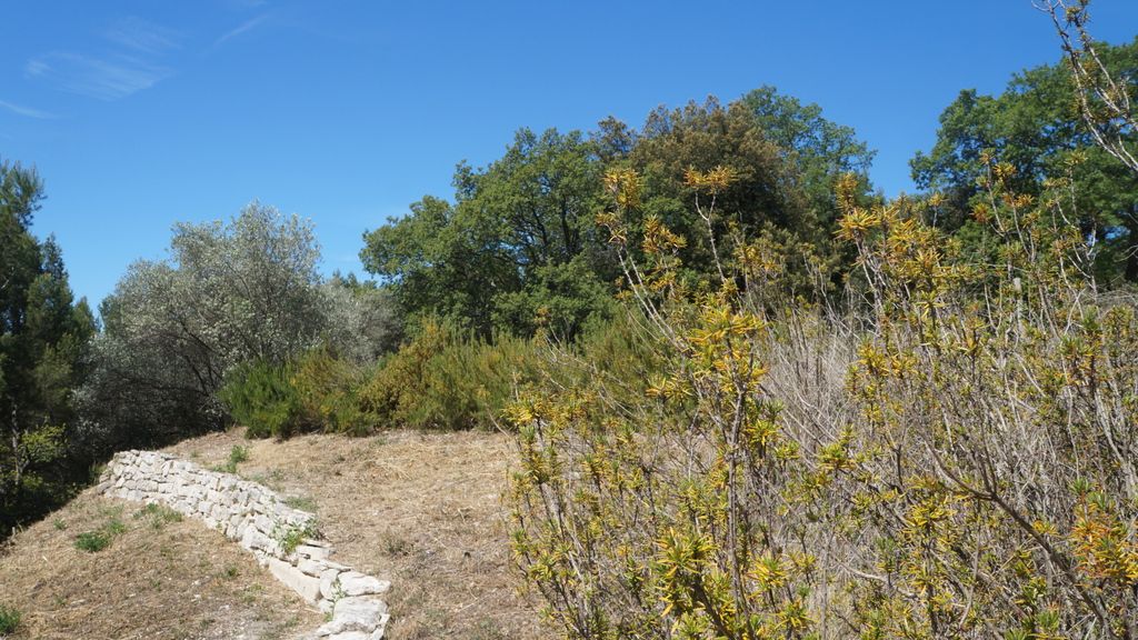 Entremont, Aix-en-Provence