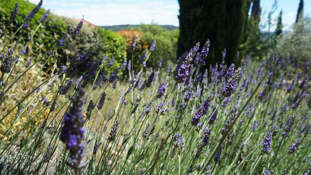 Entremont, Aix-en-Provence