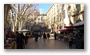 Flower Market at the City Hall, Aix en Provence