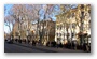 Cours Mirabeau in Winter, Aix en Provence