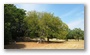 The Plateau of Entremont, just outside of Aix-en-Provence