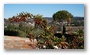 Winter light and nature, Aix-en-Provence