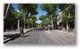 Cours Mirabeau, Aix-en-Provence, on a beautiful spring day