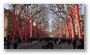 Cours Mirabeau in Aix-en-Provence in a strange setting: opening of the Marseille area as a European Cultural Capital also meant to cover the trees with these cloths...