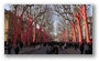 Cours Mirabeau in Aix-en-Provence in a strange setting: opening of the Marseille area as a European Cultural Capital also meant to cover the trees with these cloths...