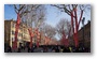 Cours Mirabeau in Aix-en-Provence in a strange setting: opening of the Marseille area as a European Cultural Capital also meant to cover the trees with these cloths...