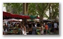 Sunday Market in Aix-en-Provence
