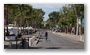 Roughly once every 10 years the trees on the Cours Mirabeau are trimmed, which gives an unusual look to the road…