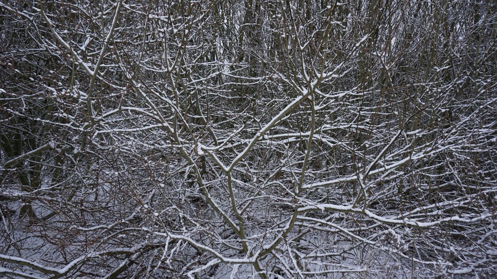 Amstelveen in winter