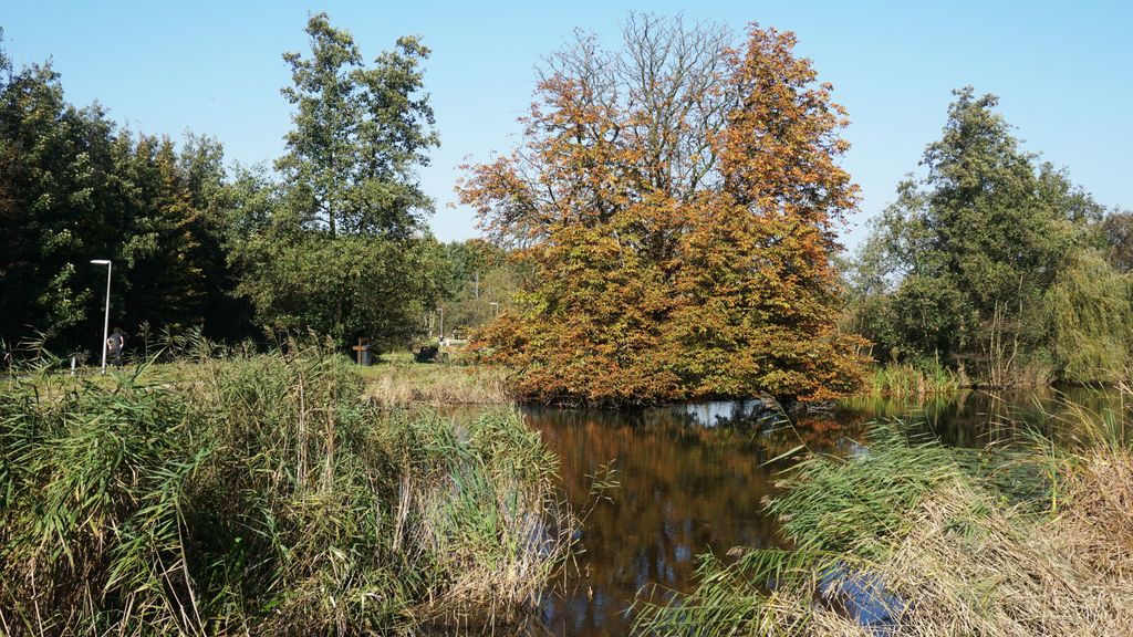 Amsterdamse Bos, a forest nearby Amstelveen