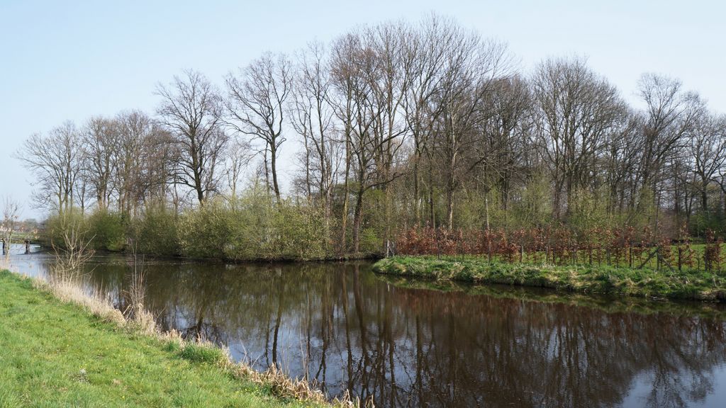 Timid spring in Amstelveen…