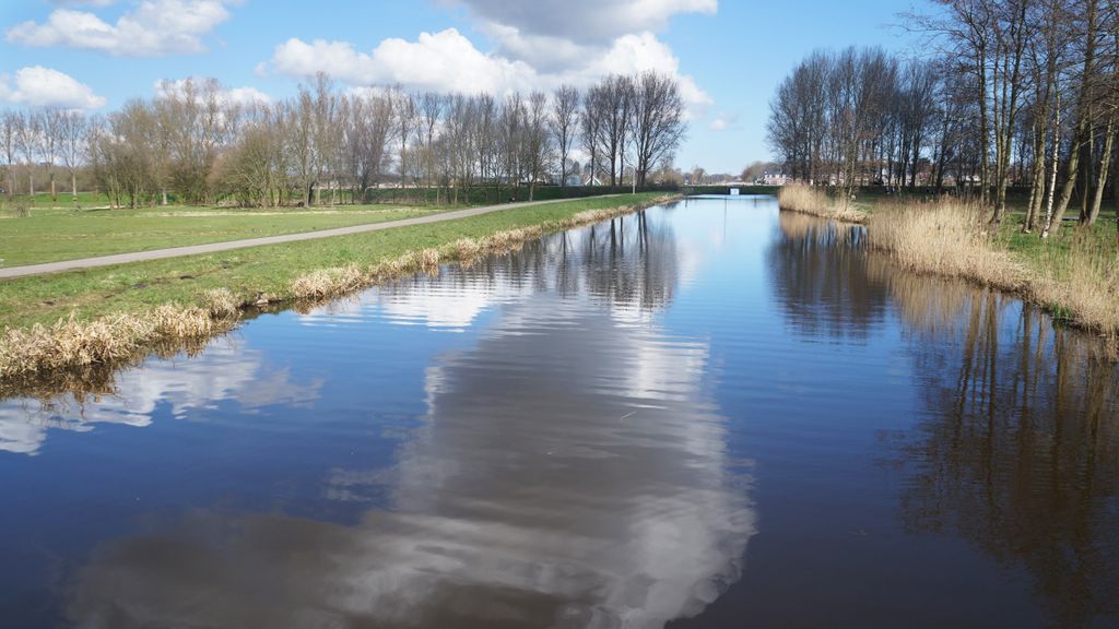 Timid spring in Amstelveen...