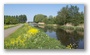 The Dutch countryside in spring (looks like summer...)