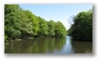 Amsterdamse Bos (the 