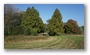 Amsterdamse Bos, a forest nearby Amstelveen