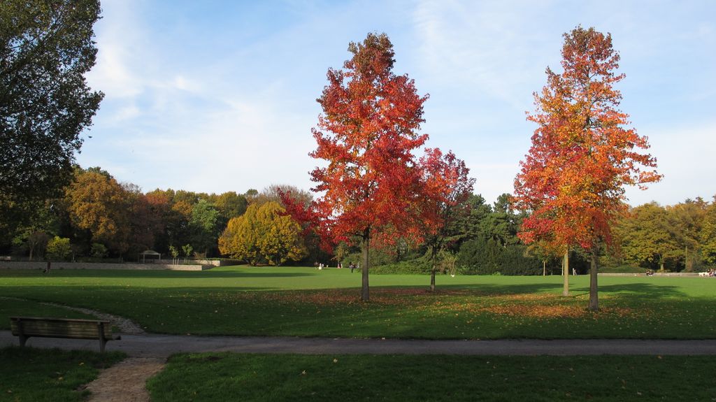 Autumn Colours, 2011 (Amsterdam, Beatrixpark)