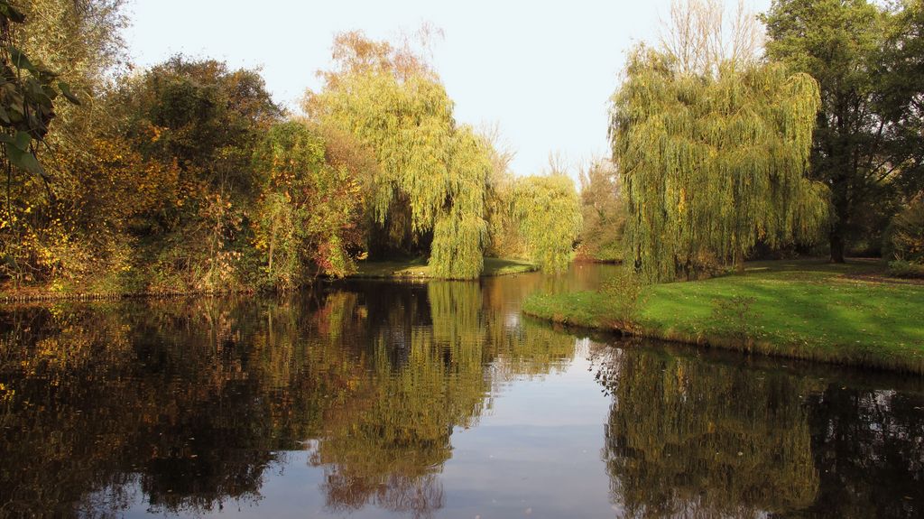 Autumn Colours, 2011 (Amsterdam, Beatrixpark)