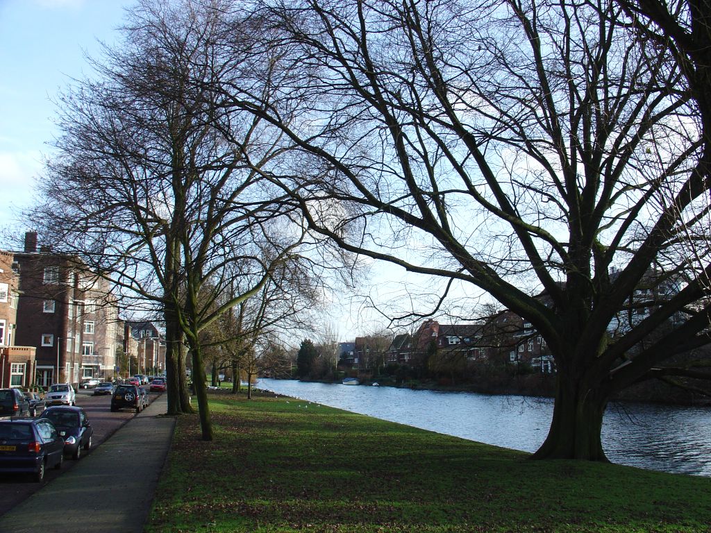 Jan van Goyenkade, Amsterdam, the Oud Zuid area, overlooking the Nieuw Zuid (Saturday, 04 September 2004)