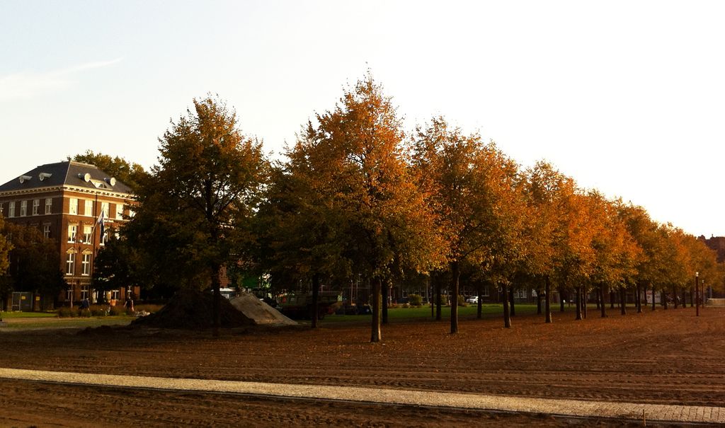 Autumn colours in Amsterdam... (Museumplein)