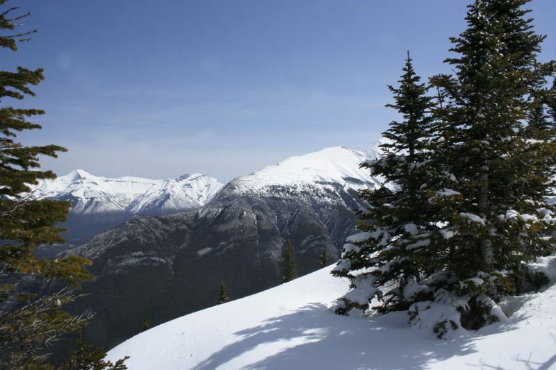 Views from the Sulphur Mountain, Banff