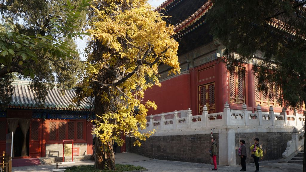 Confucius Temple, Beijing; one of the lesser known places to many, which makes it a peaceful and beautiful place in the big city...