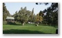 Park of the Temple of Heaven, Beijing; one of the iconic places of the City, extremely popular for people of Beijing...