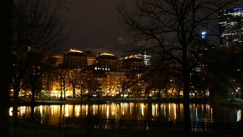 Boston Public Gardens