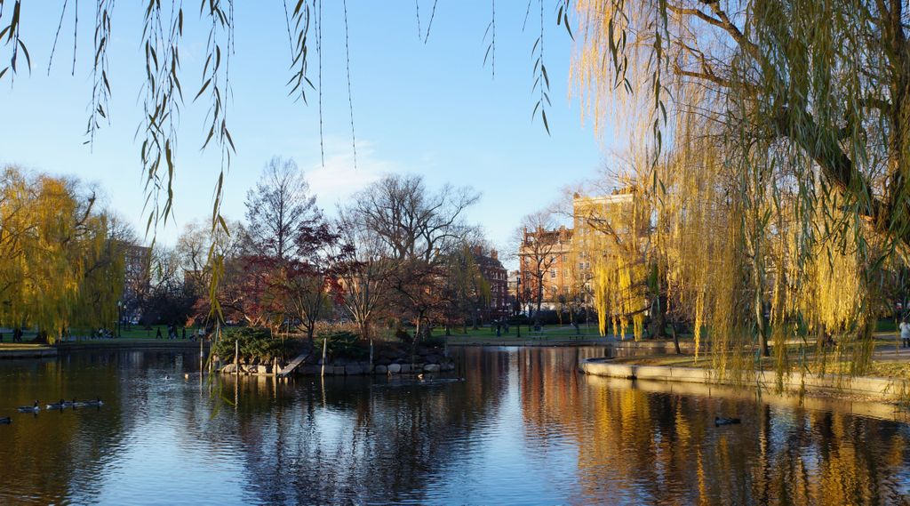 Boston Public Gardens