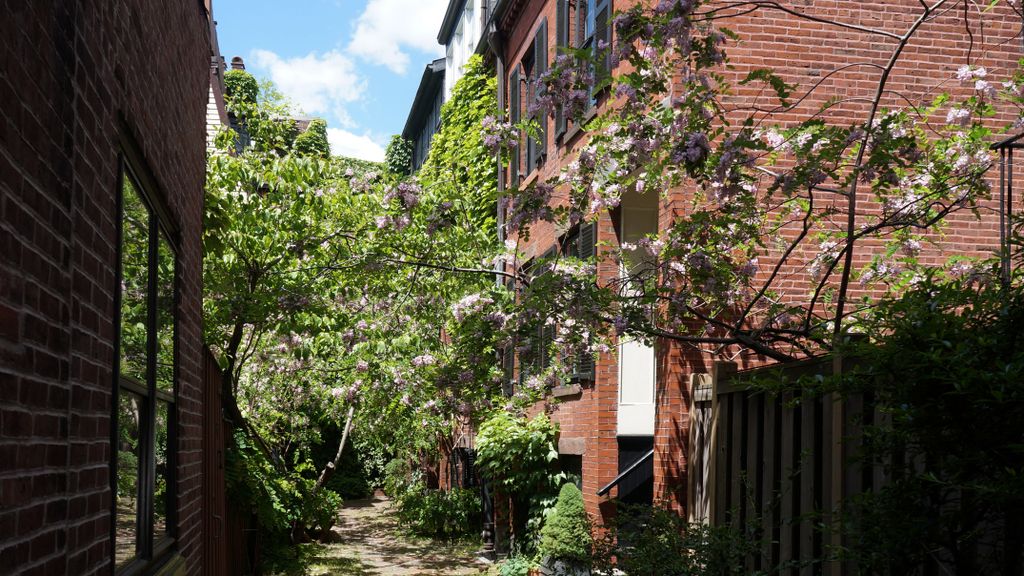 Small courtyard on Revere Street, Beacon Hill, Boston