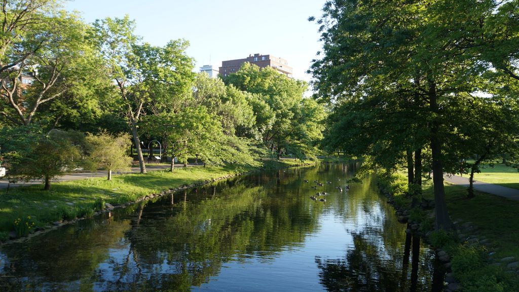 Back Bay, Along the Charles River, Boston