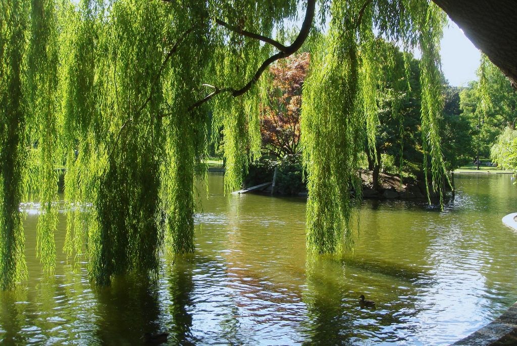 Boston, Public Garden