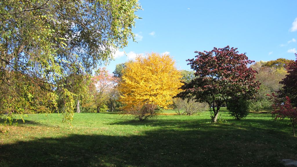 Arnold Arboretum by Roslindale, by Boston