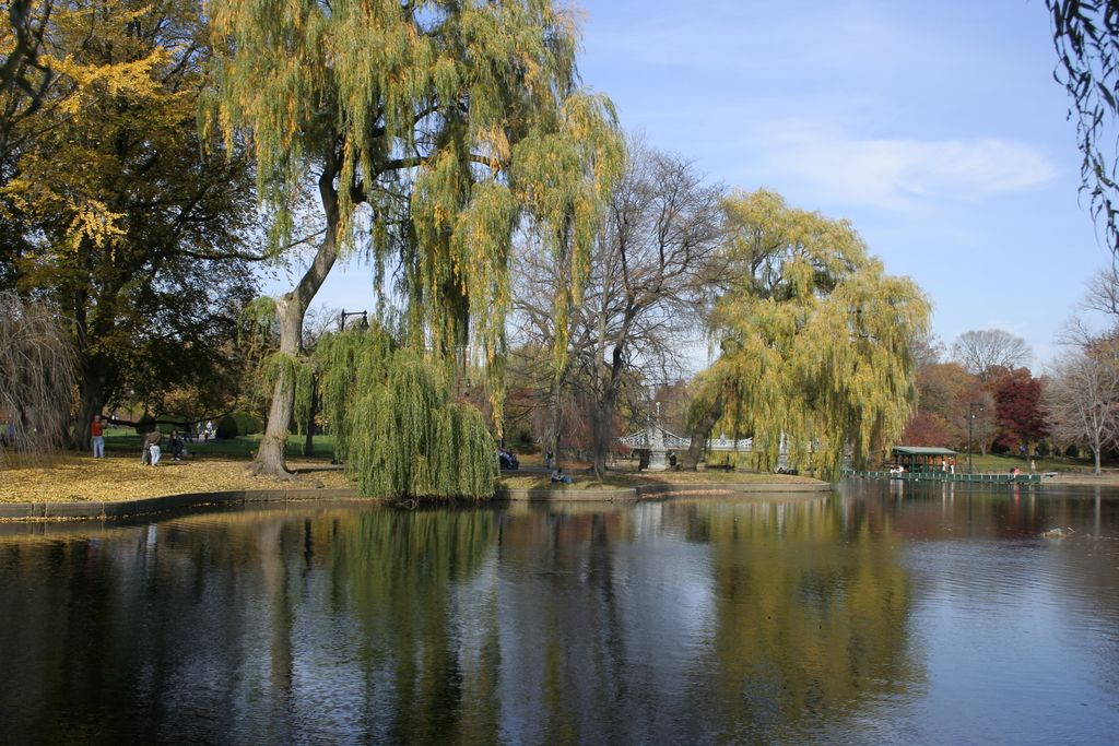 Public Garden