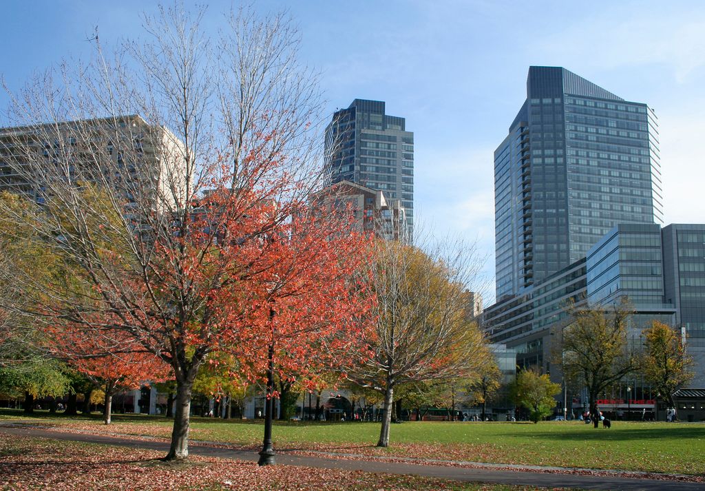 Boston Commons