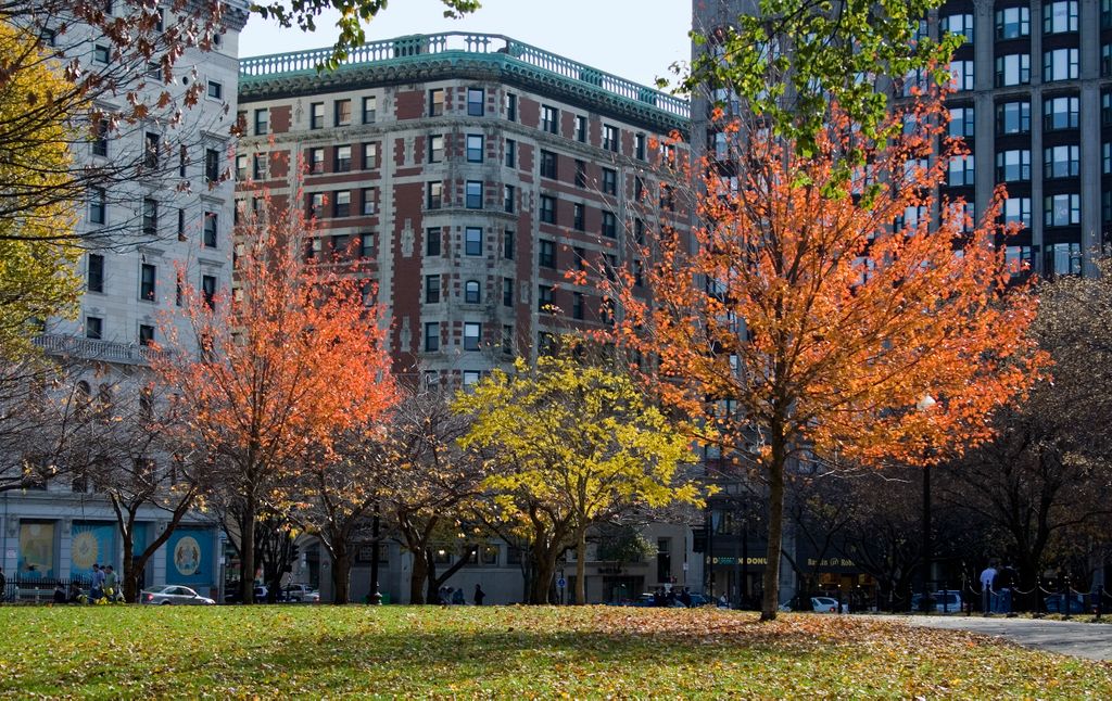 Boston Commons