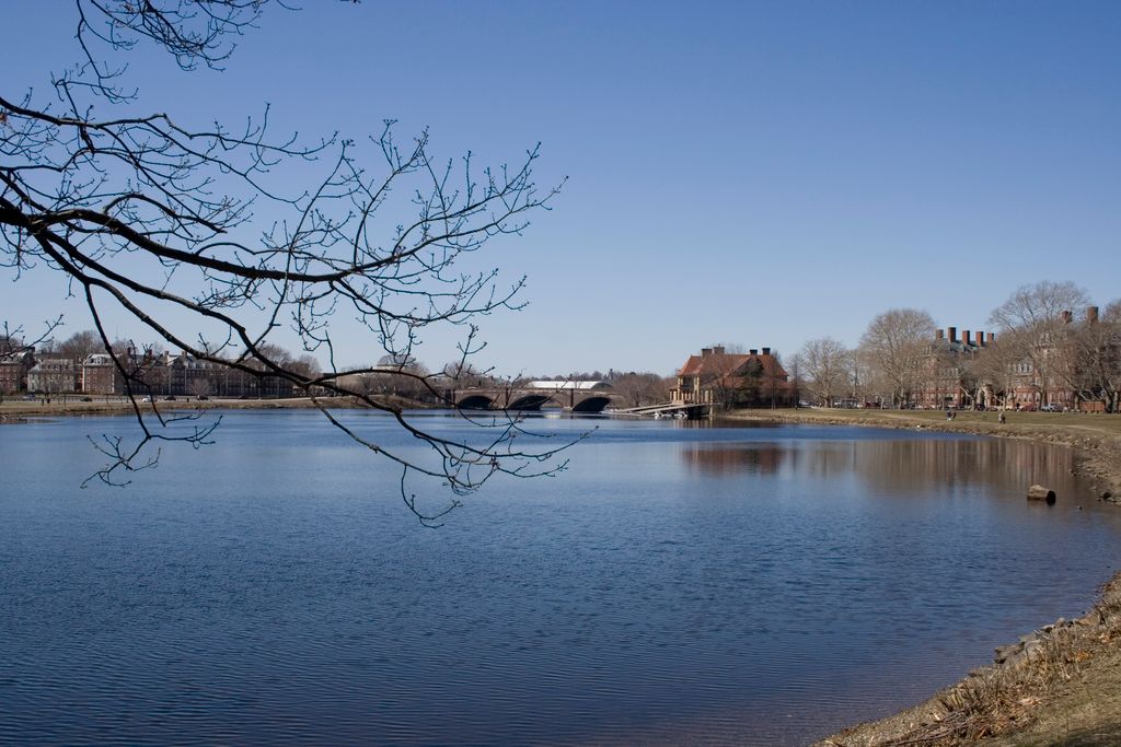 Area of Cambridge between Harvard and the Charles River