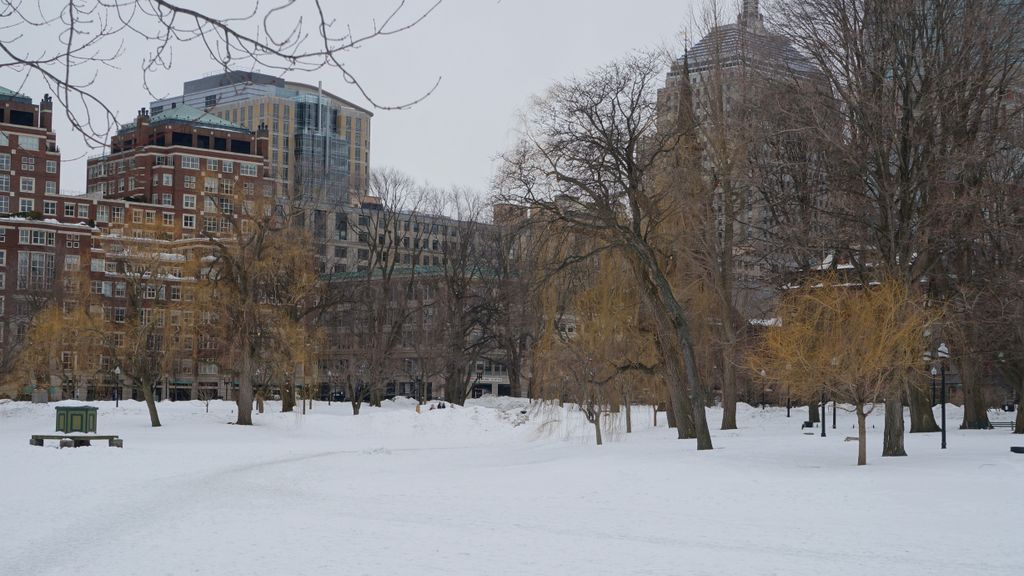 Boston Public Garden