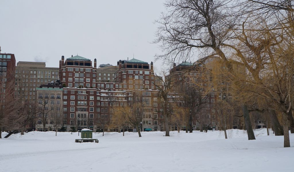 Boston Public Garden