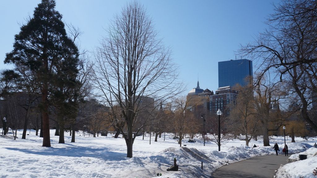 Public Gardens, Boston, on a beautiful late winter day