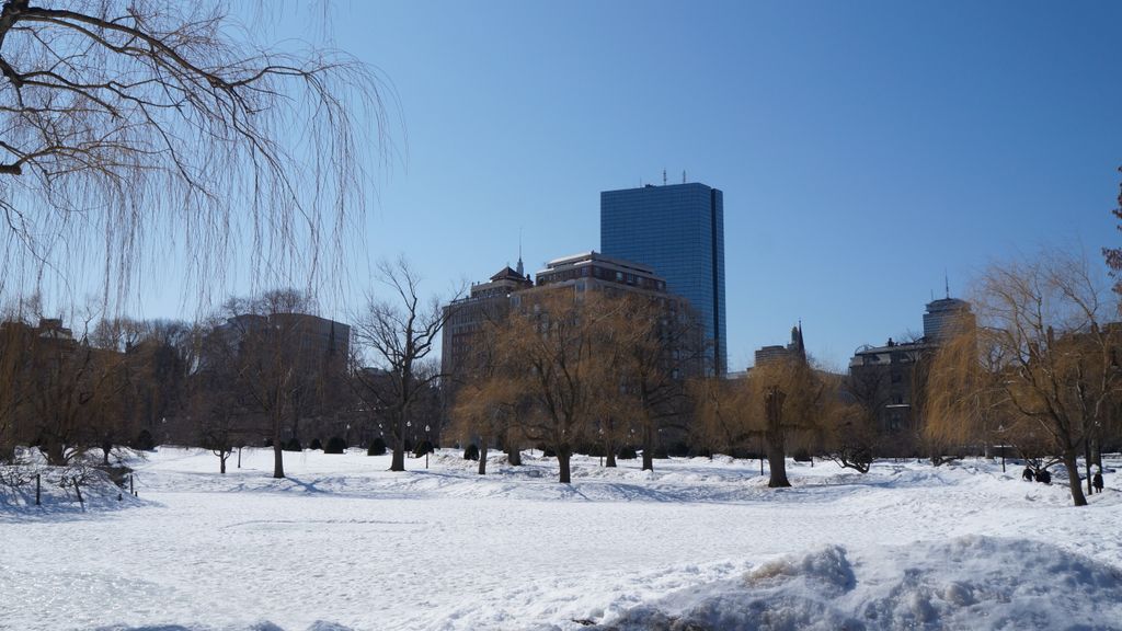 Public Gardens, Boston, on a beautiful late winter day