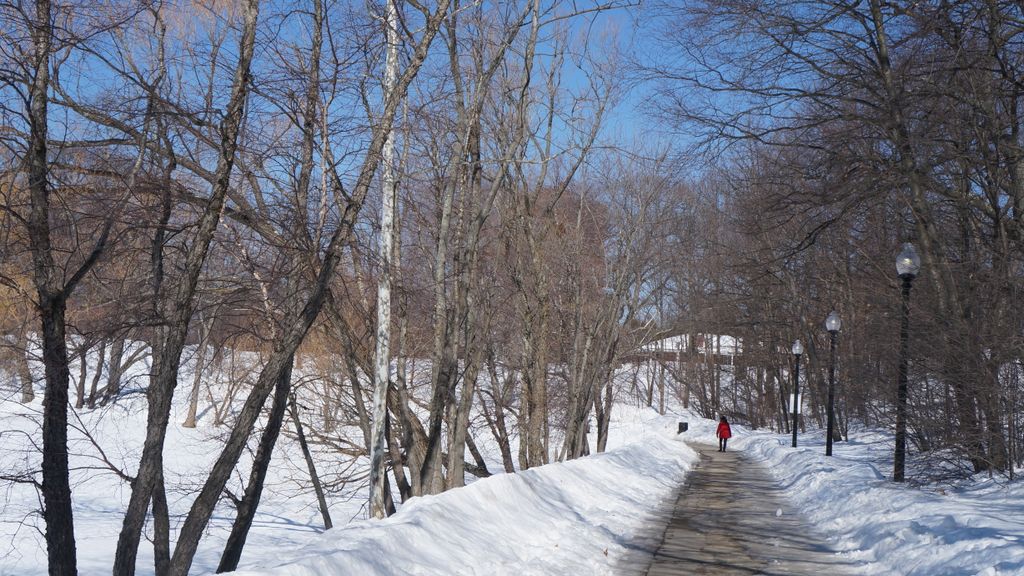 Jamaica Pond, Boston