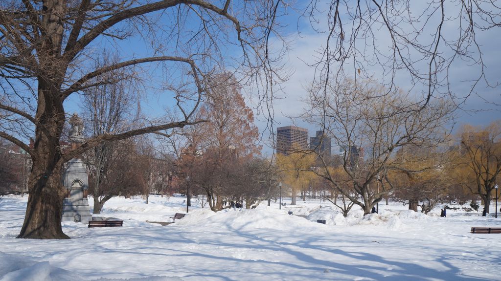 Boston Public Garden