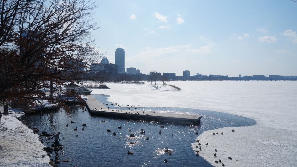 Along the Charles River