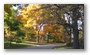 Arnold Arboretum by Roslindale, by Boston
