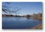 Area of Cambridge between Harvard and the Charles River